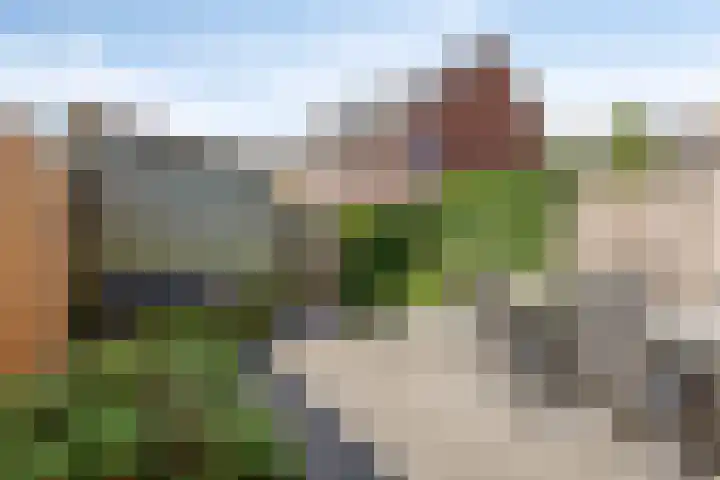 Lient 131 Hooglanderveen thumbnail 21