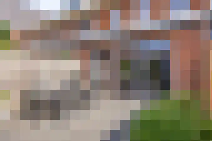Lient 131 Hooglanderveen thumbnail 22