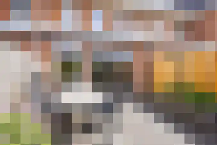 Lient 131 Hooglanderveen thumbnail 23