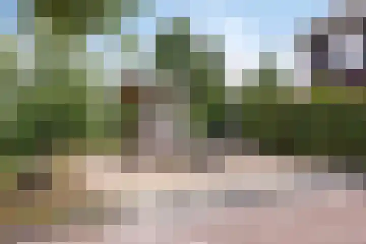 Lient 131 Hooglanderveen thumbnail 25