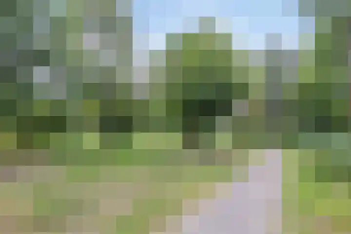 Lient 131 Hooglanderveen thumbnail 26
