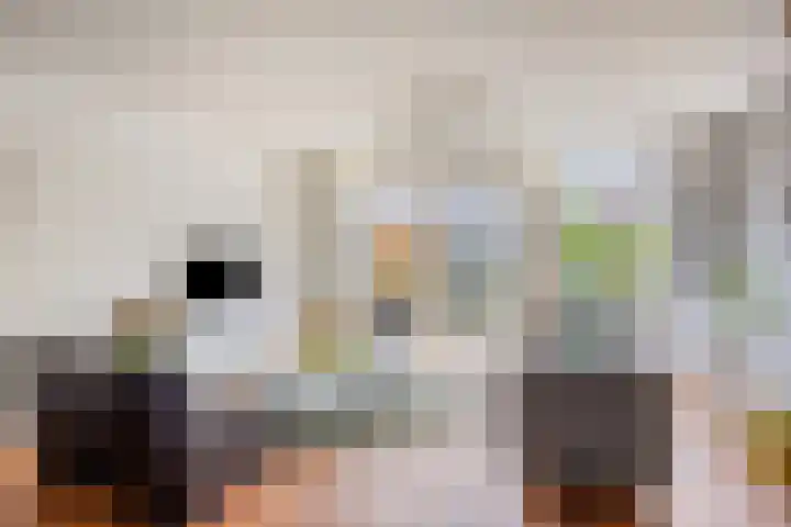 Lient 131 Hooglanderveen thumbnail 5
