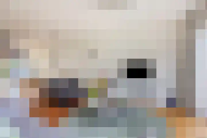 Lient 131 Hooglanderveen thumbnail 6