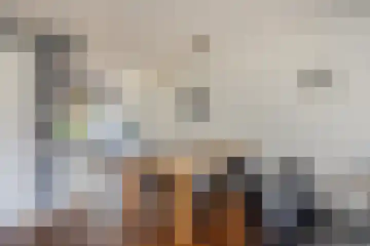 Lient 131 Hooglanderveen thumbnail 8