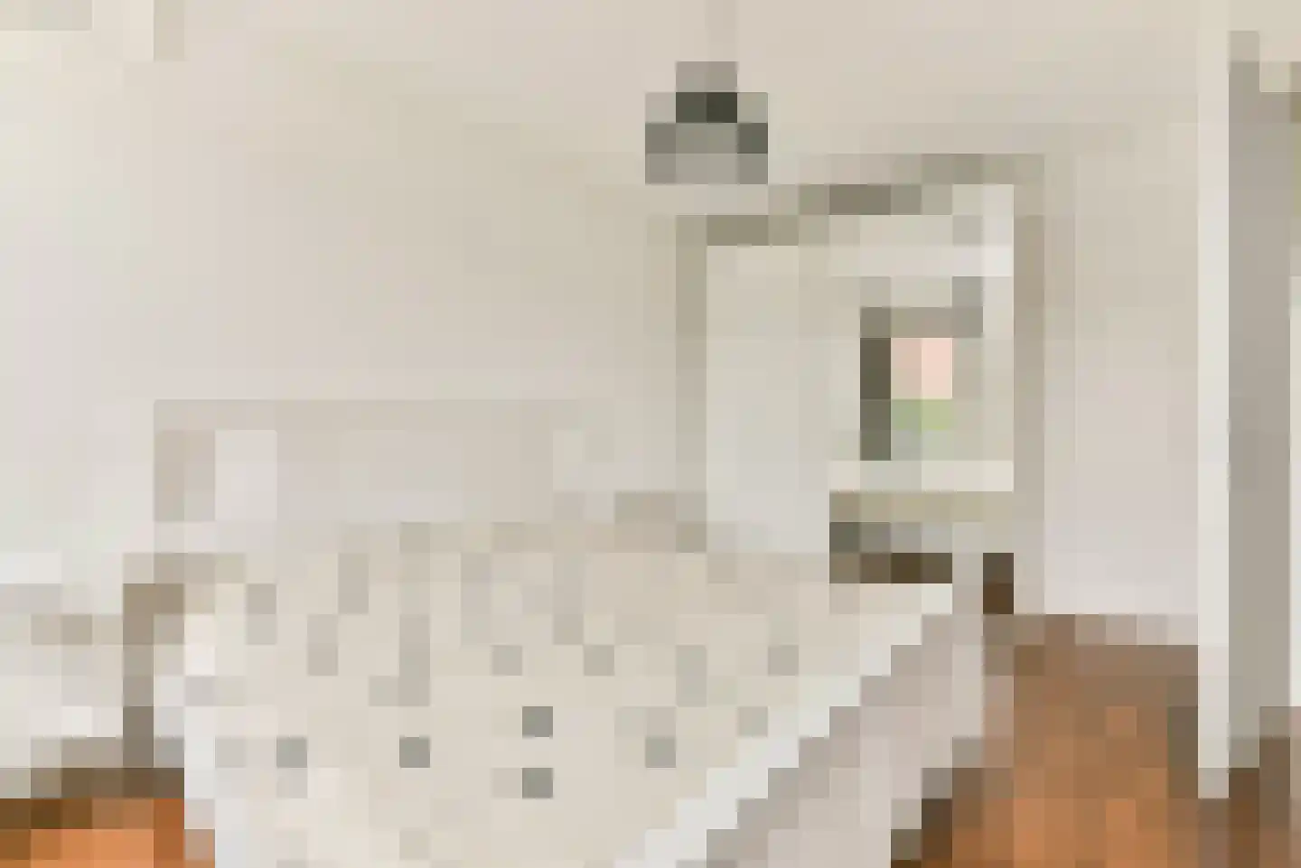 Lient 133 Hooglanderveen thumbnail 20