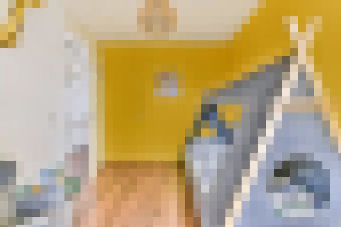Lient 133 Hooglanderveen thumbnail 25