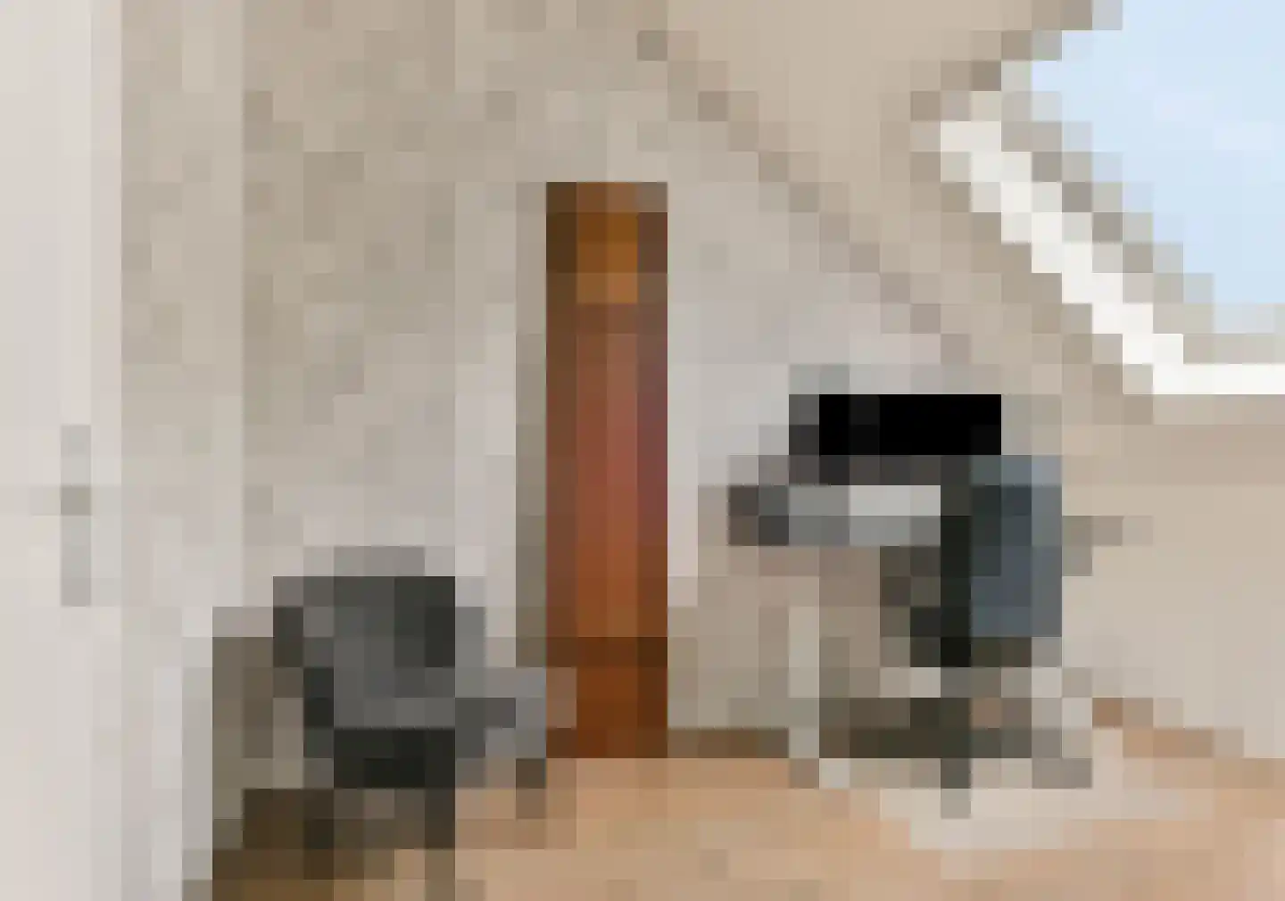 Lient 133 Hooglanderveen thumbnail 29