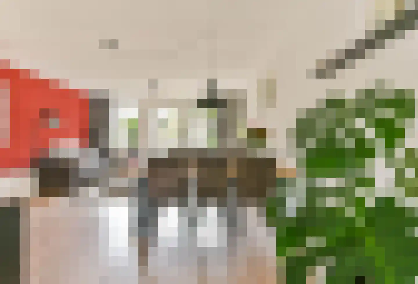 Lient 133 Hooglanderveen thumbnail 7