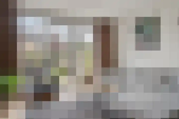 Lient 159 Hooglanderveen thumbnail 10