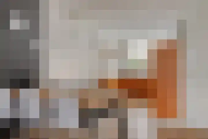 Lient 159 Hooglanderveen thumbnail 12