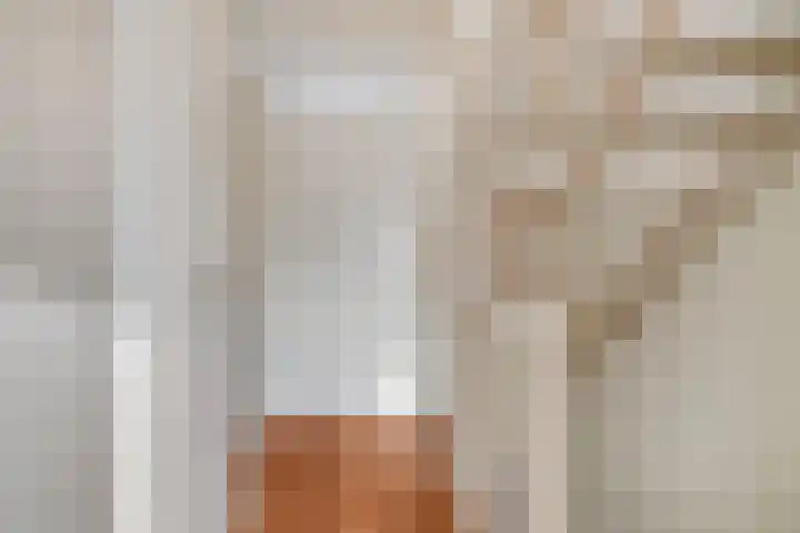 Lient 159 Hooglanderveen thumbnail 15