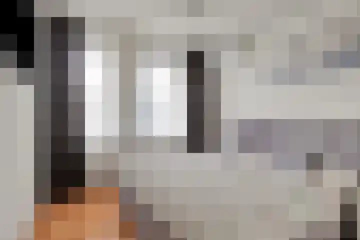 Lient 159 Hooglanderveen thumbnail 16