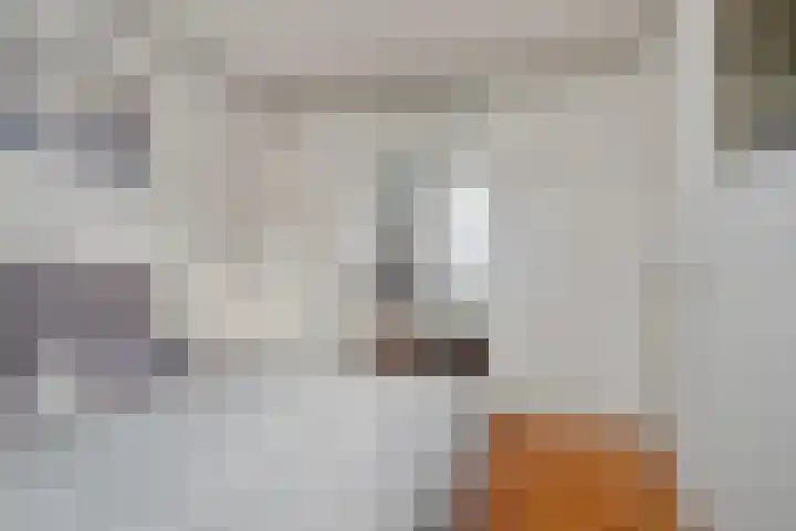 Lient 159 Hooglanderveen thumbnail 17
