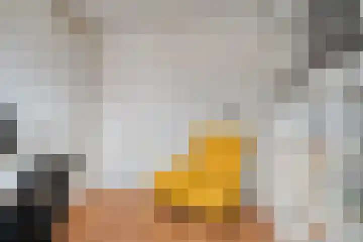 Lient 159 Hooglanderveen thumbnail 19