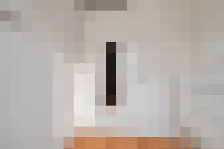 Lient 159 Hooglanderveen thumbnail 21