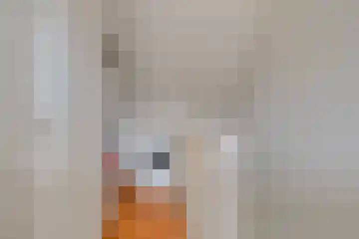 Lient 159 Hooglanderveen thumbnail 25