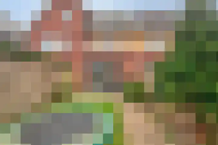 Lient 159 Hooglanderveen thumbnail 28