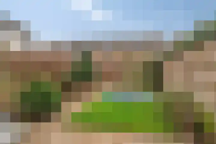 Lient 159 Hooglanderveen thumbnail 29