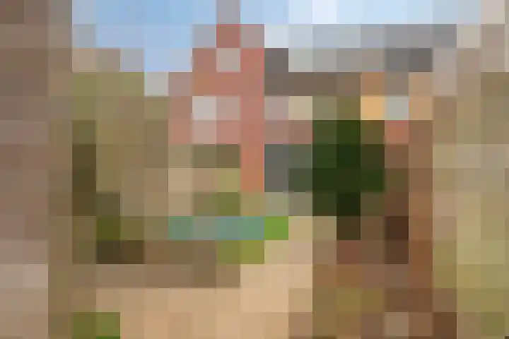 Lient 159 Hooglanderveen thumbnail 30