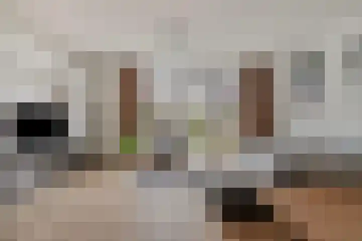 Lient 159 Hooglanderveen thumbnail 9
