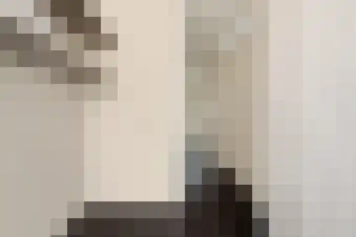 Lient 19 Hooglanderveen thumbnail 18