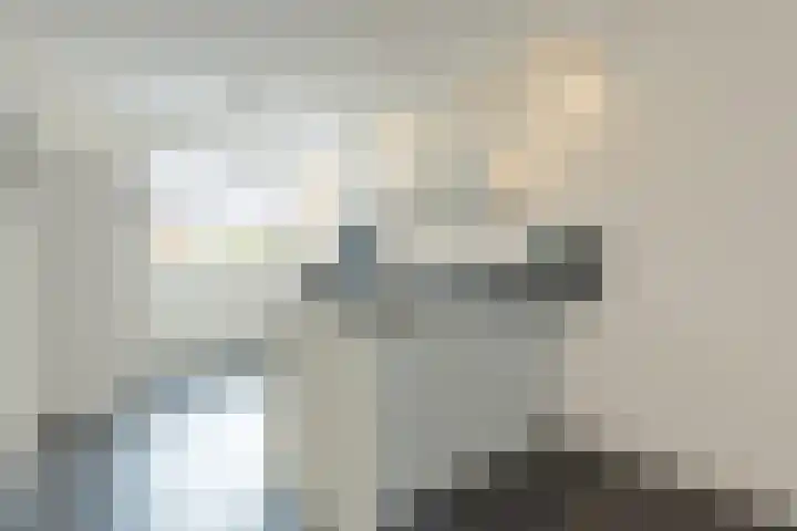Lient 19 Hooglanderveen thumbnail 5