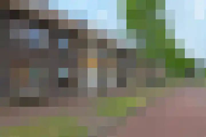 Lient 19 Hooglanderveen thumbnail 7