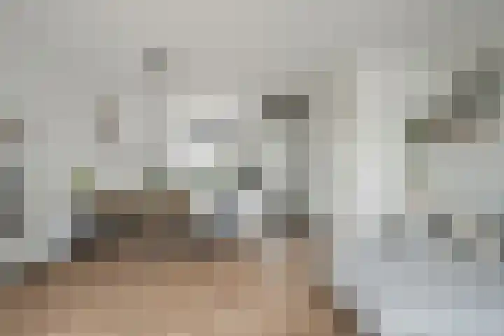 Lient 23 Hooglanderveen thumbnail 12