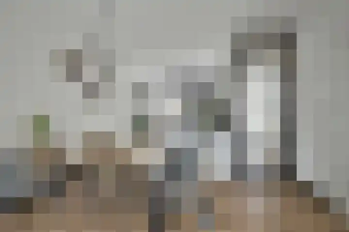 Lient 23 Hooglanderveen thumbnail 13