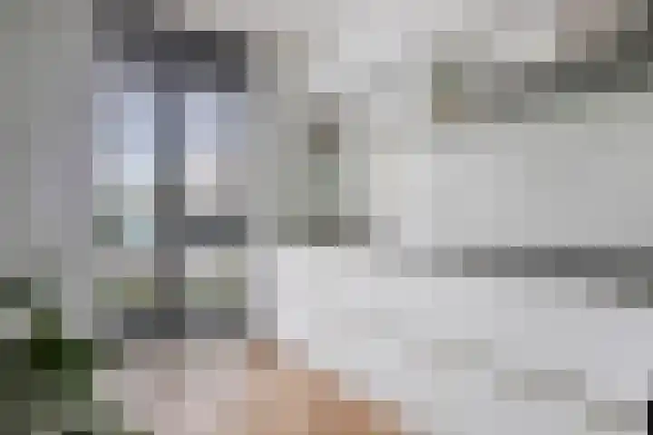 Lient 23 Hooglanderveen thumbnail 14