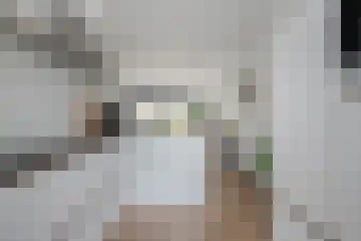 Lient 23 Hooglanderveen thumbnail 16
