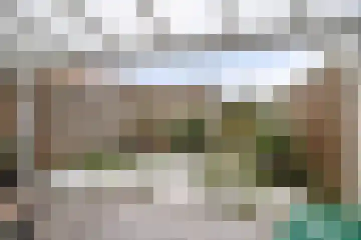 Lient 23 Hooglanderveen thumbnail 29
