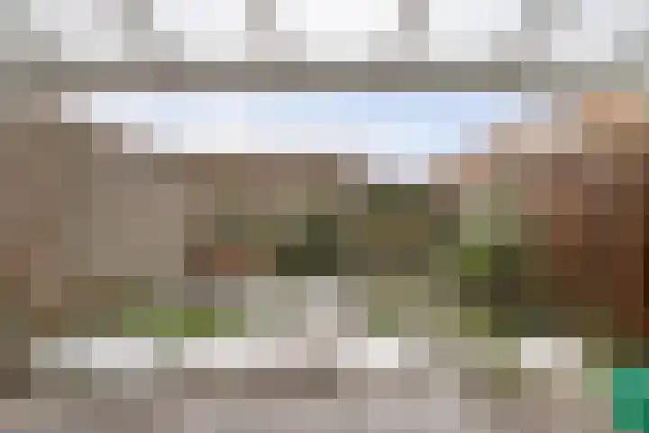 Lient 23 Hooglanderveen thumbnail 30