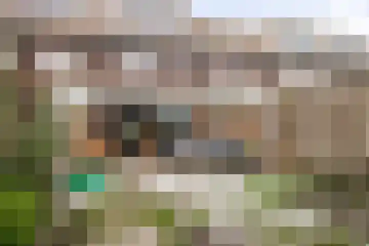 Lient 23 Hooglanderveen thumbnail 32