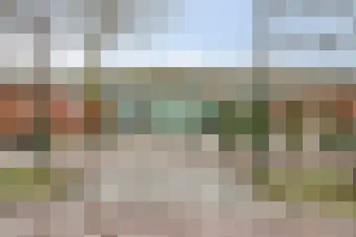 Lient 23 Hooglanderveen thumbnail 33