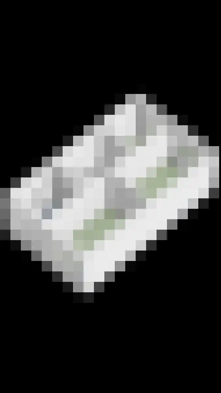 Lient 23 Hooglanderveen thumbnail 40