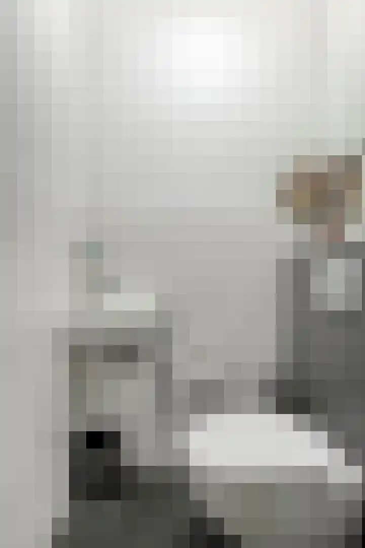 Lient 23 Hooglanderveen thumbnail 7