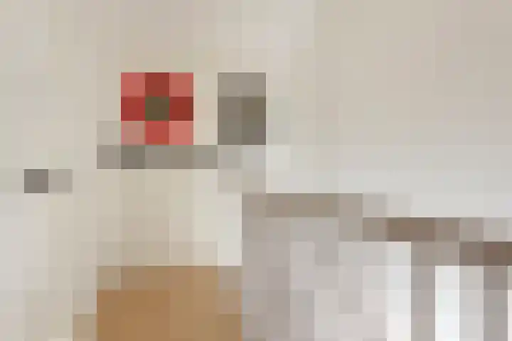 Lienweid 15 Blokker thumbnail 18
