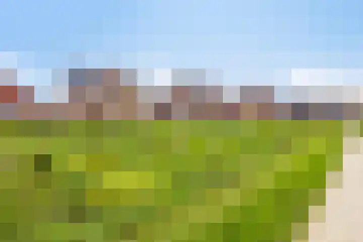Lienweid 15 Blokker thumbnail 25