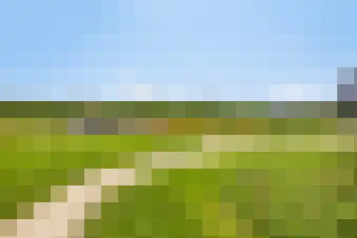 Lienweid 15 Blokker thumbnail 26