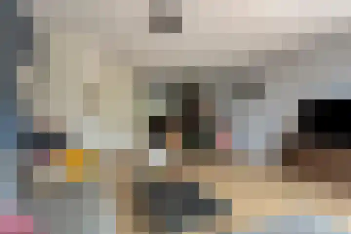 Lienweid 15 Blokker thumbnail 7