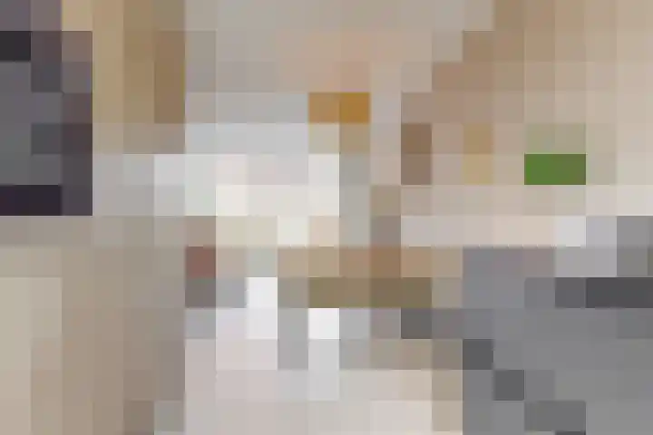 Lienweid 2 Blokker thumbnail 10