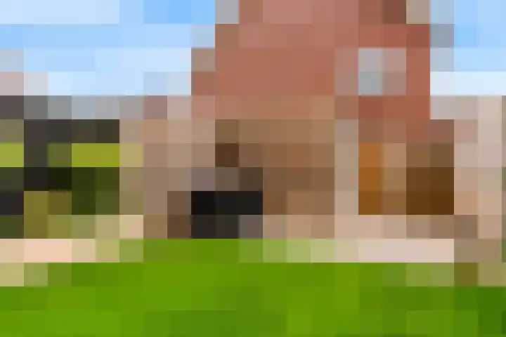 Lienweid 2 Blokker thumbnail 27