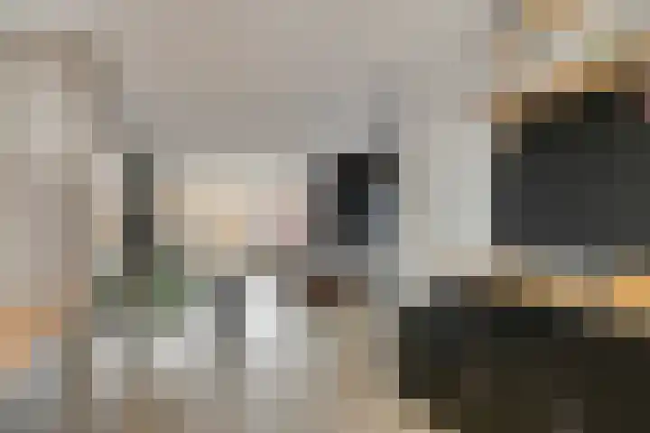 Lienweid 4 Blokker thumbnail 11