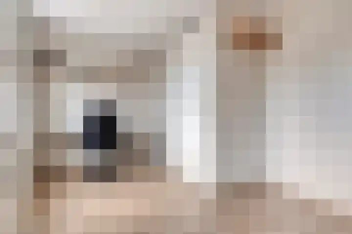 Lienweid 4 Blokker thumbnail 16