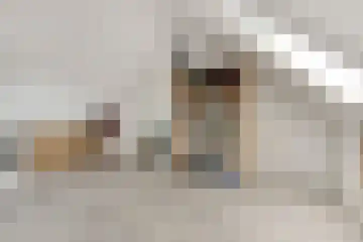 Lienweid 4 Blokker thumbnail 19