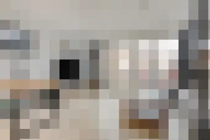 Lienweid 4 Blokker foto 2