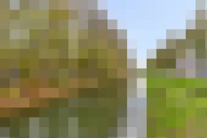 Lienweid 4 Blokker thumbnail 26