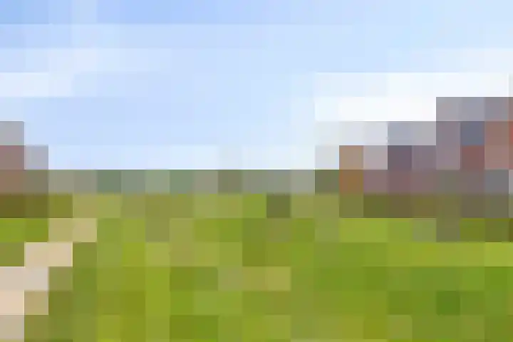 Lienweid 4 Blokker thumbnail 27