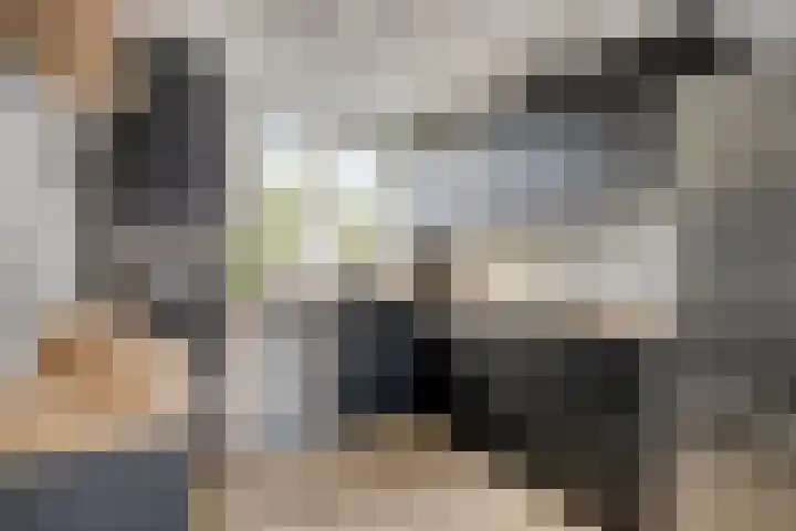 Lienweid 4 Blokker thumbnail 9